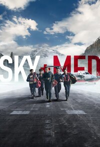 SkyMed